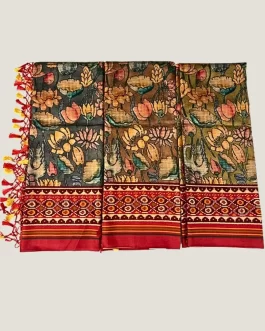 patola saree with a Pochampally border